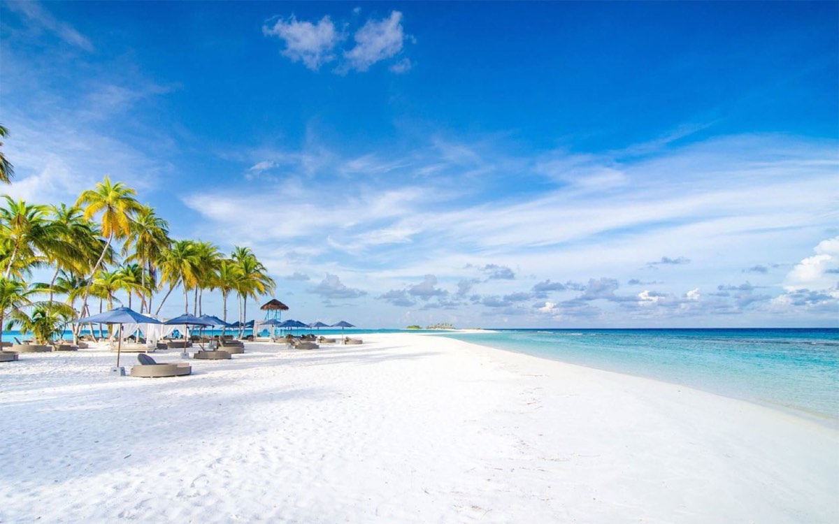 Finolhu, A Seaside Collection Resort Signature Villas — фото 2