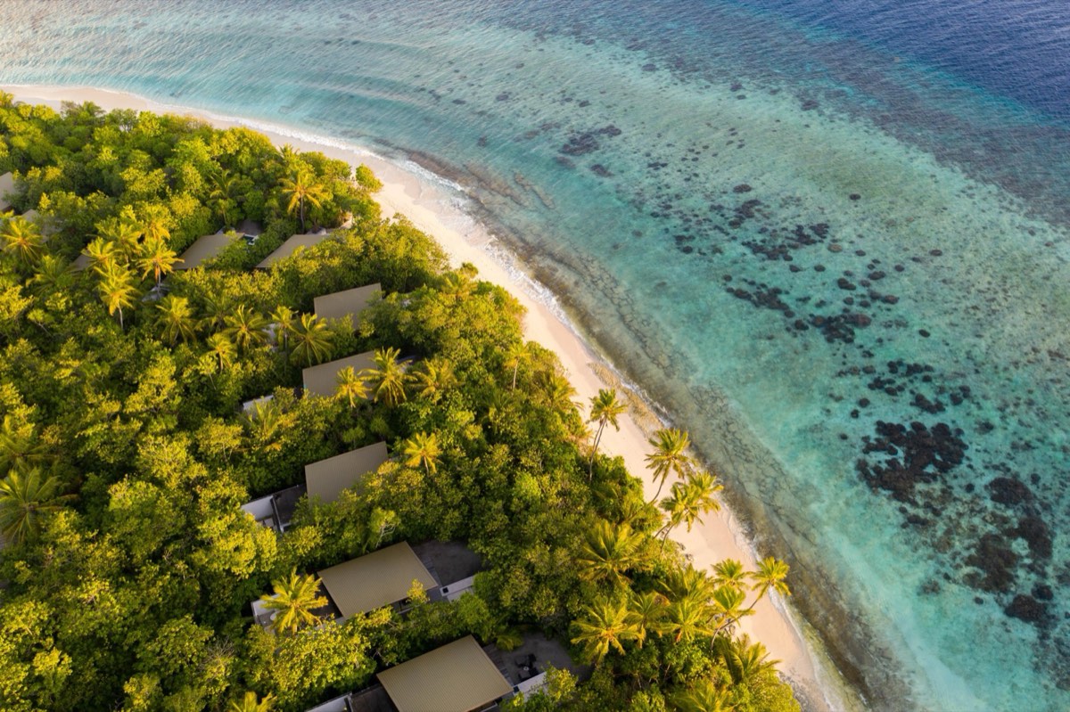 Park Hyatt Maldives Hadahaa Signature Villas — фото 2