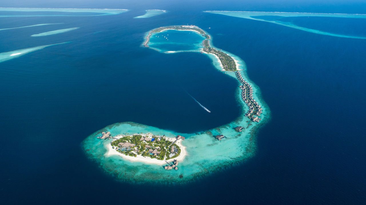 Waldorf Astoria Maldives Ithaafushi — фото 3